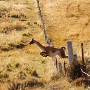 Avistamiento de Flora y Fauna